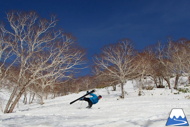 ニセコアンヌプリ国際スキー場 beautiful spring day!!